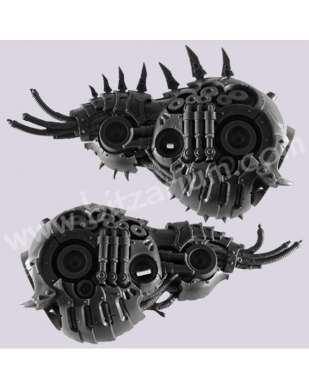 Corps