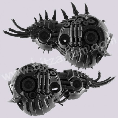 Corps