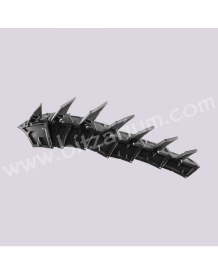 Spine