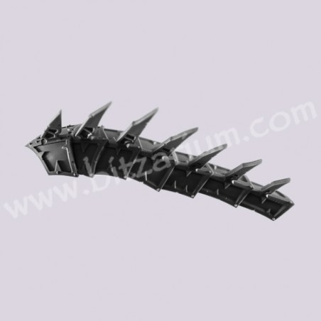 Spine