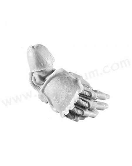 Power Fist