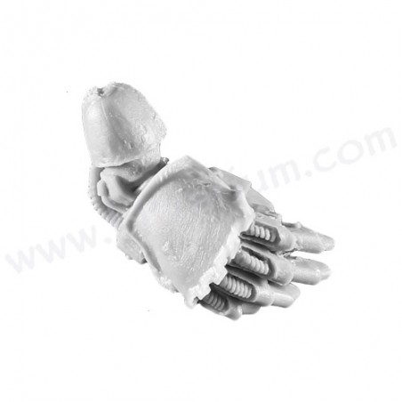 Power Fist