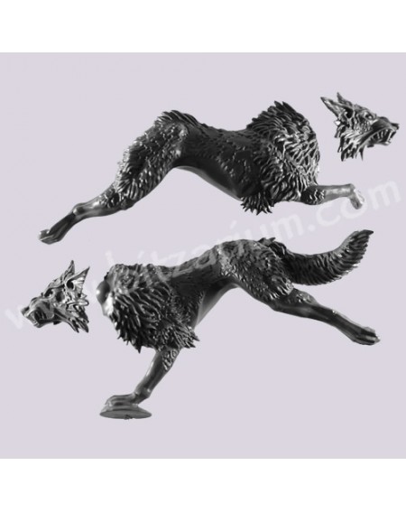 Loup Fenrissien 1
