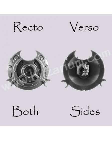 Shield 1