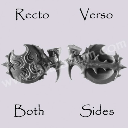 Shield 7 -  Hellstriders of Slaanesh 