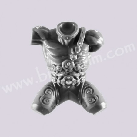 Body 1 -  Hellstriders of Slaanesh 