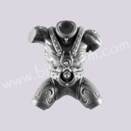Corps 2 -  Hellstriders of Slaanesh 