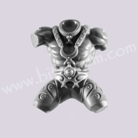 Body 4 -  Hellstriders of Slaanesh 