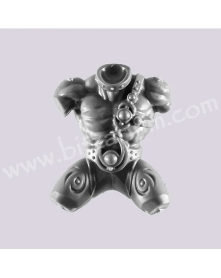 Body 5