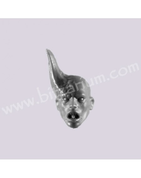 Bare Head 1