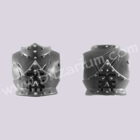 Torse 2