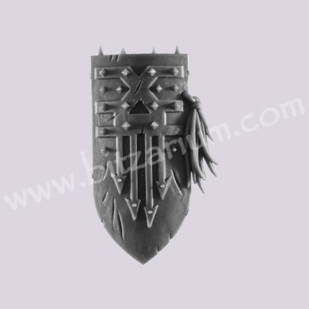 Shield 1
