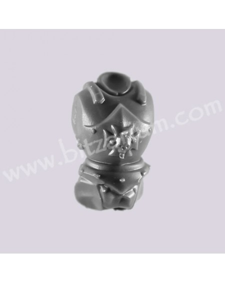 Torse 1