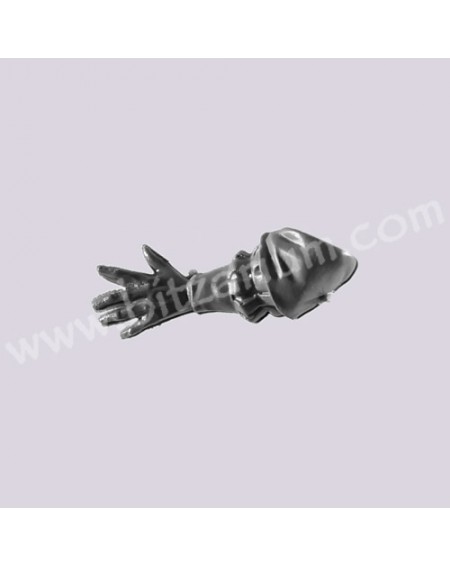 Left Arm