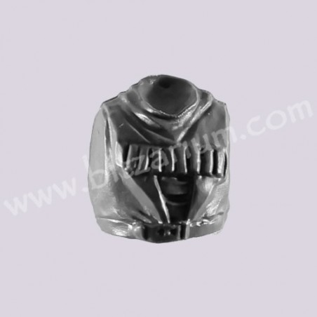 Torso