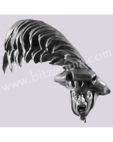 Head S