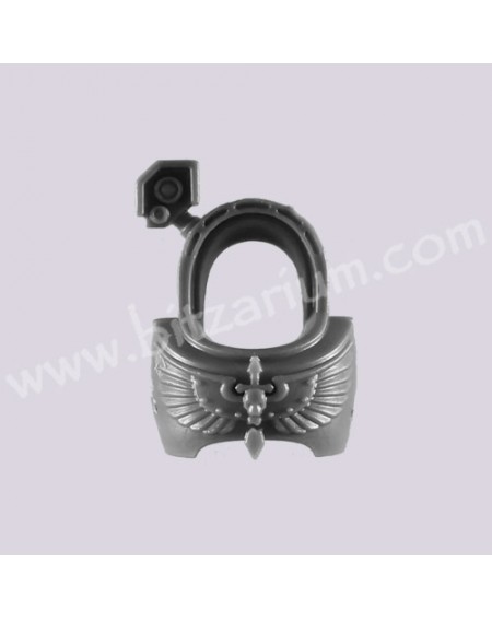 Torse avant B