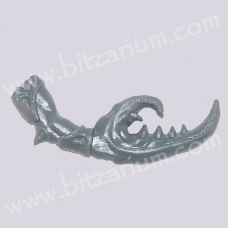 Claw B
