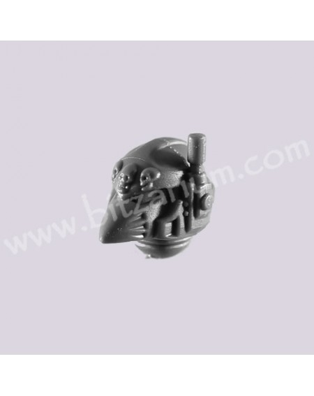 Head 6
