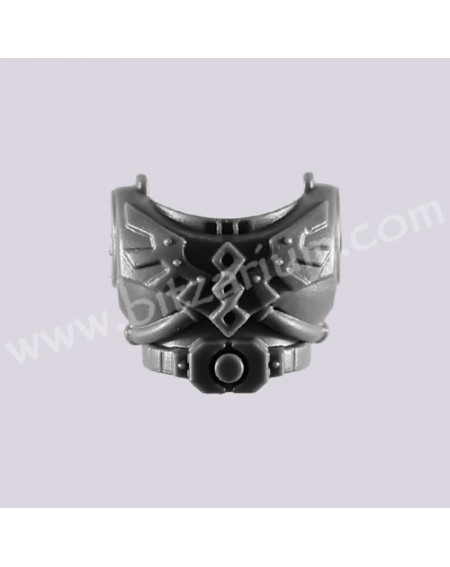 Front Torso 4