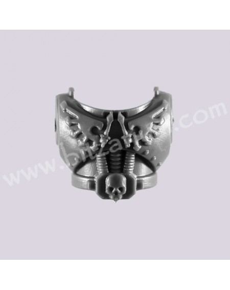 Torse avant 6