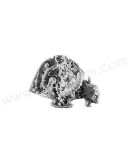 Shoulder Pad A