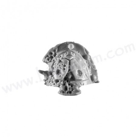 Shoulder Pad I