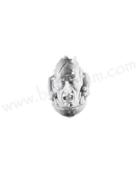 Head 1