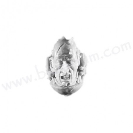Head 1 - Raven Guard
