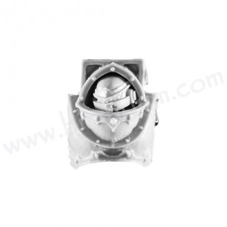 Torse C - Terminators Cataphractii