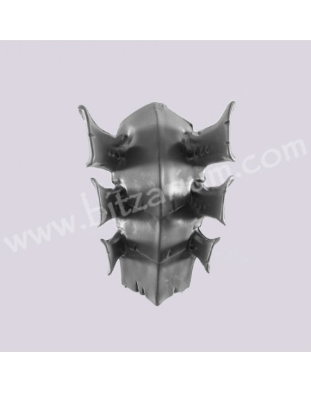 Carapace 1
