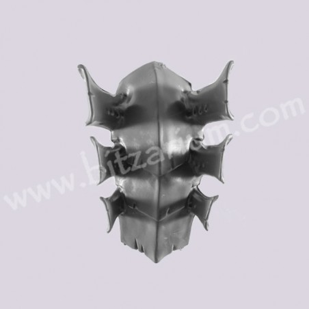 Carapace 1