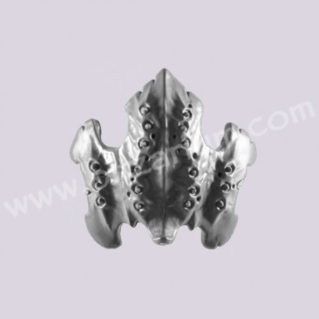 Carapace 3