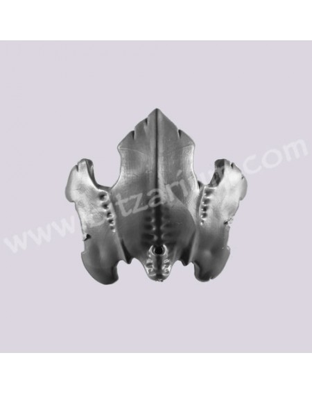 Carapace 4