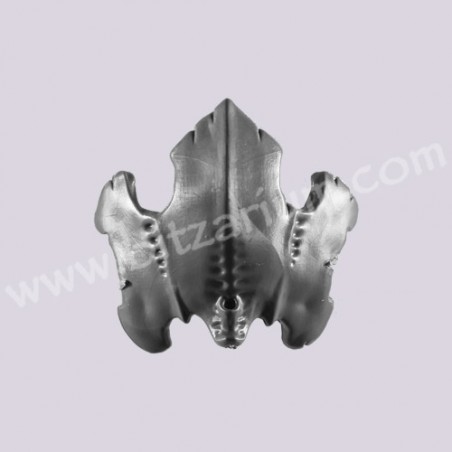 Carapace 4