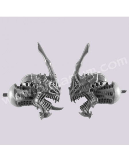 Head 1