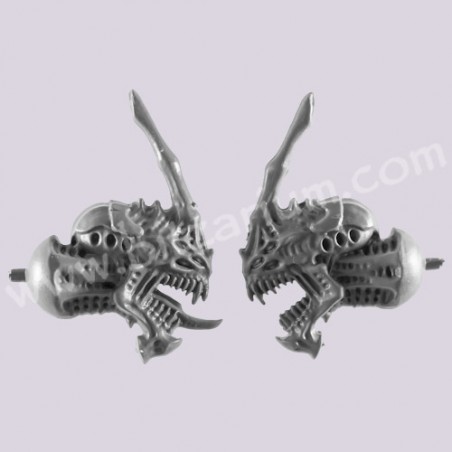 Head 1