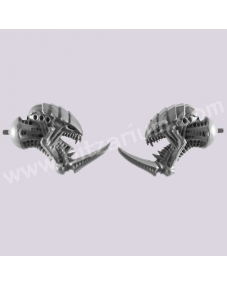 Head 2