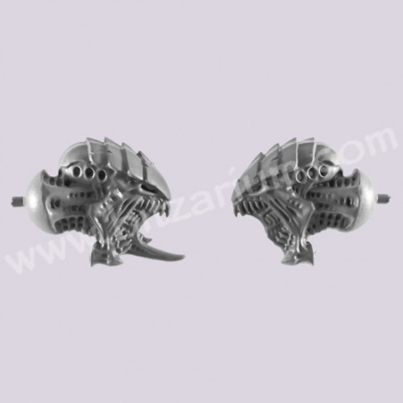 Head 4