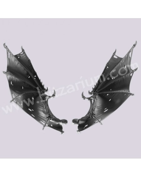Wings