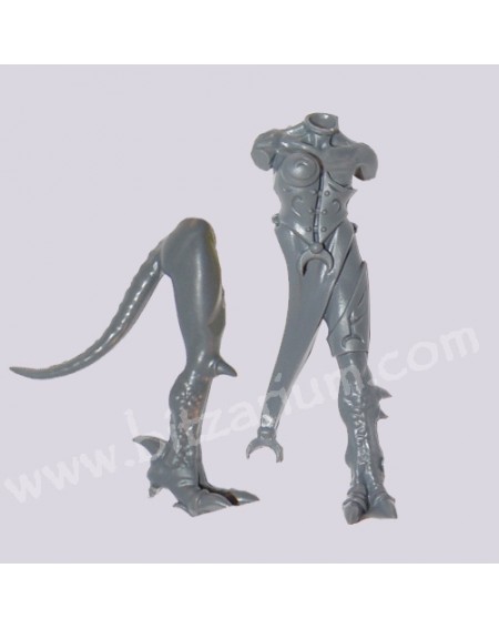 Body 5
