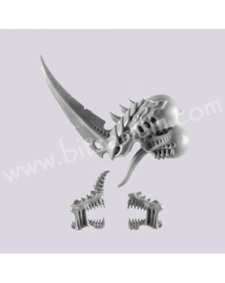 Head 1