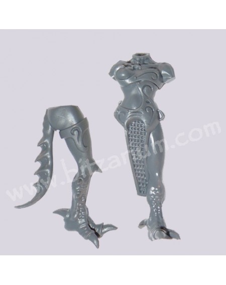 Body 6