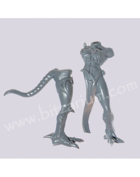 Body 7