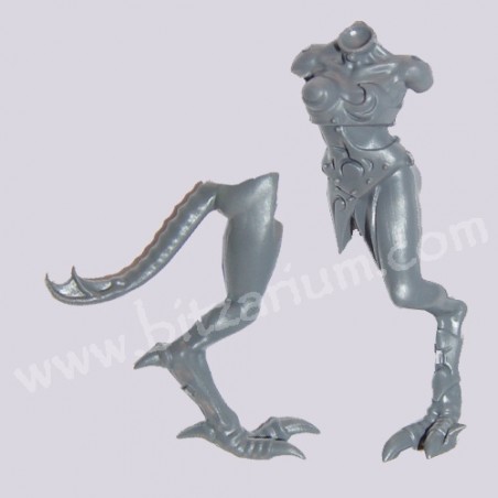 Body I