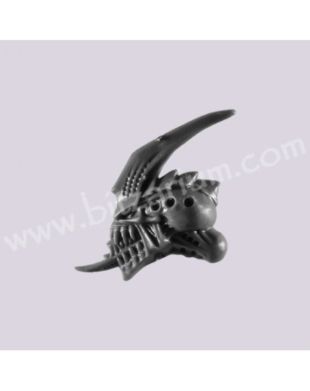 Head I