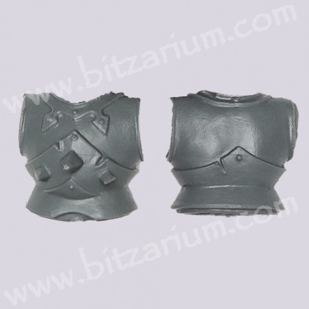 Torse 3