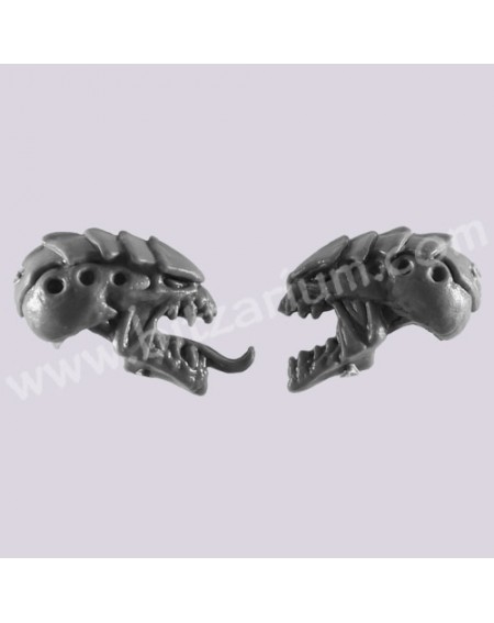 Head 4
