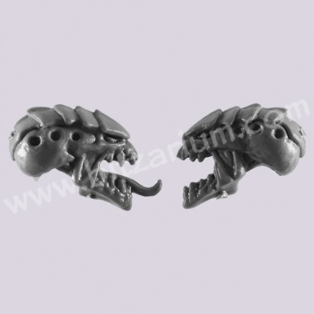Head 4