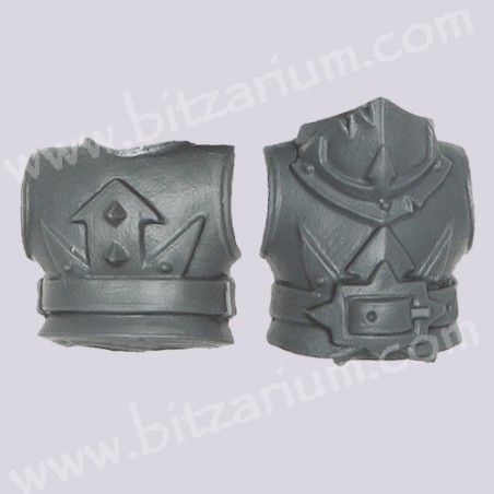 Torso 5